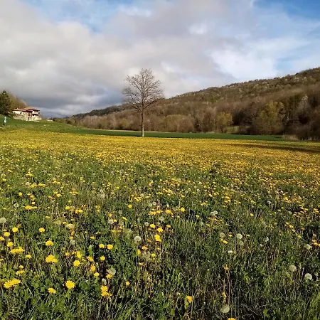 דירה Casa Andreini *