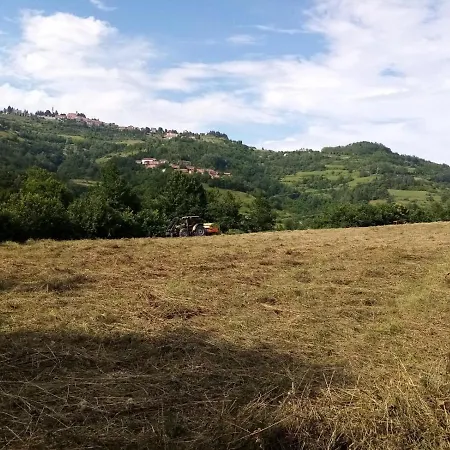 Casa Andreini דירה