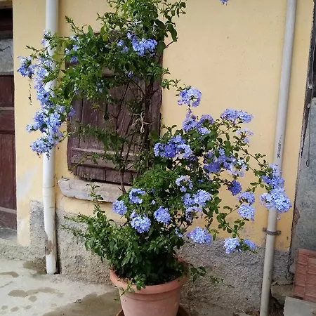 Casa Andreini * Mombarcaro