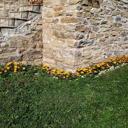 Casa Andreini דירה