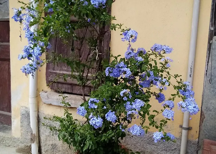Casa Andreini * Mombarcaro